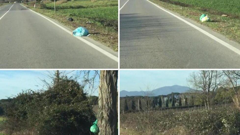 Sacchetti della spazzatura disseminati in via delle Colline