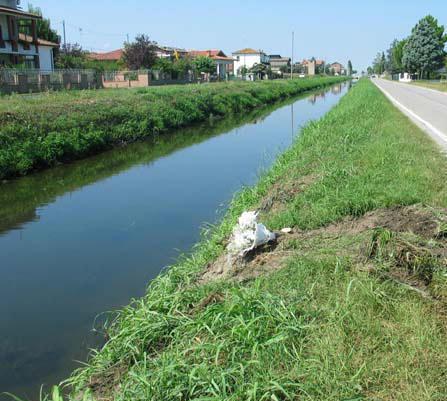 Lavori straordinari nel canale Ippolito Arriva il via libera 