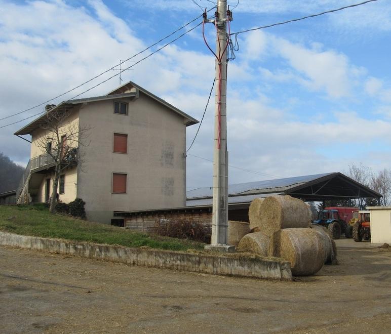 A Castagneto “spariscono” 400 mucche 