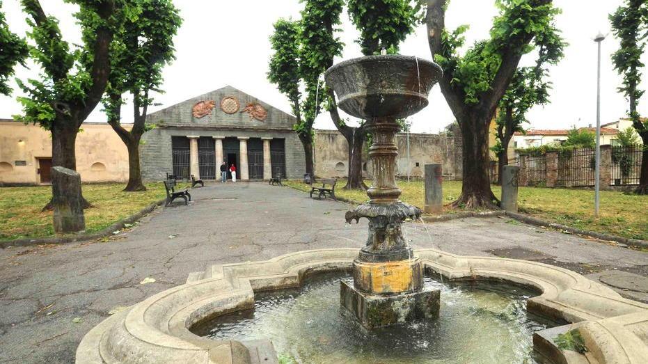 Alberi a rischio, inizia il taglio il no di associazioni e cittadini