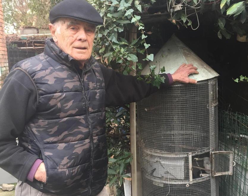 Incendiata un’auto e fatto sparire il merlo “Cecco”