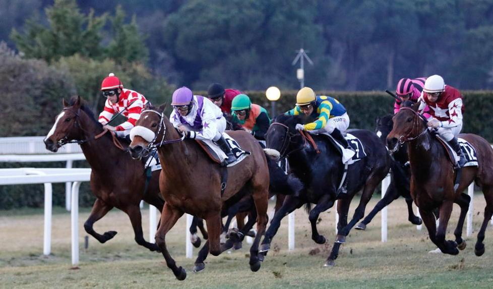 Ippica, il premio Cervo a Scatenate l’inferno 