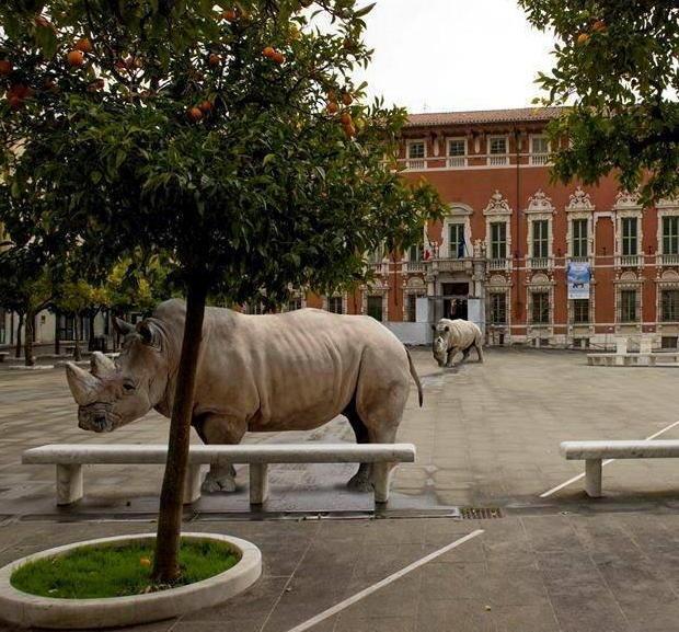 Ops, rinoceronti in piazza Aranci 