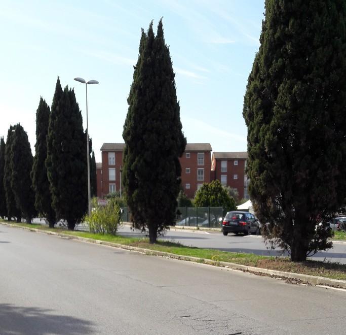 I residenti della zona «In quel punto servono le strisce»