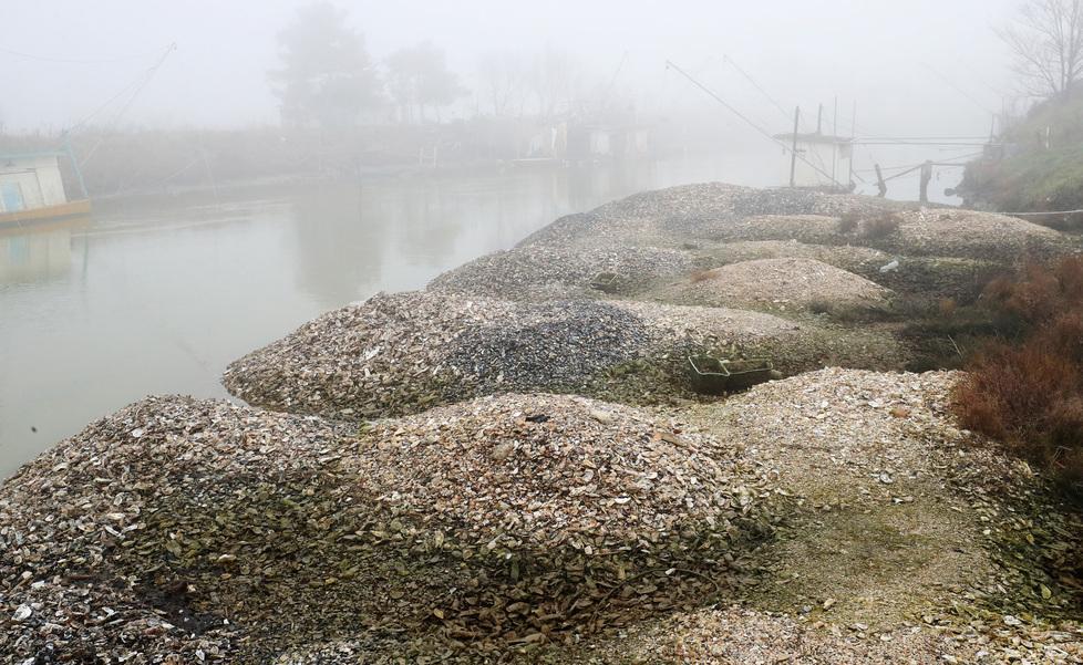 Allarme gusci di vongole abbandonati nei canali 