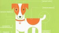 Curare i cani Nuovo manuale