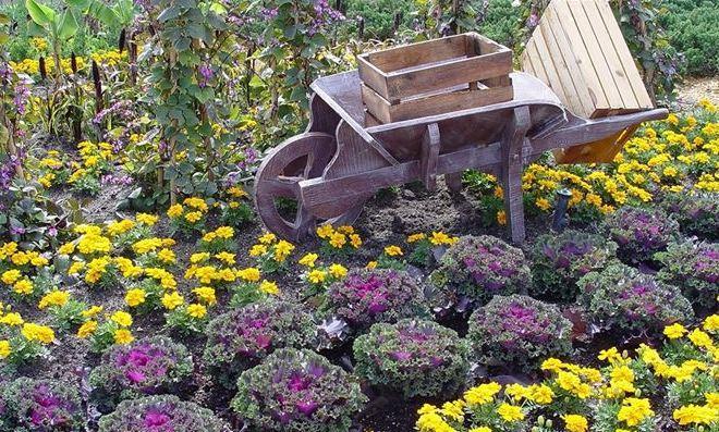 Con i giorni della merla a gennaio ricominciano le potature e le semine 