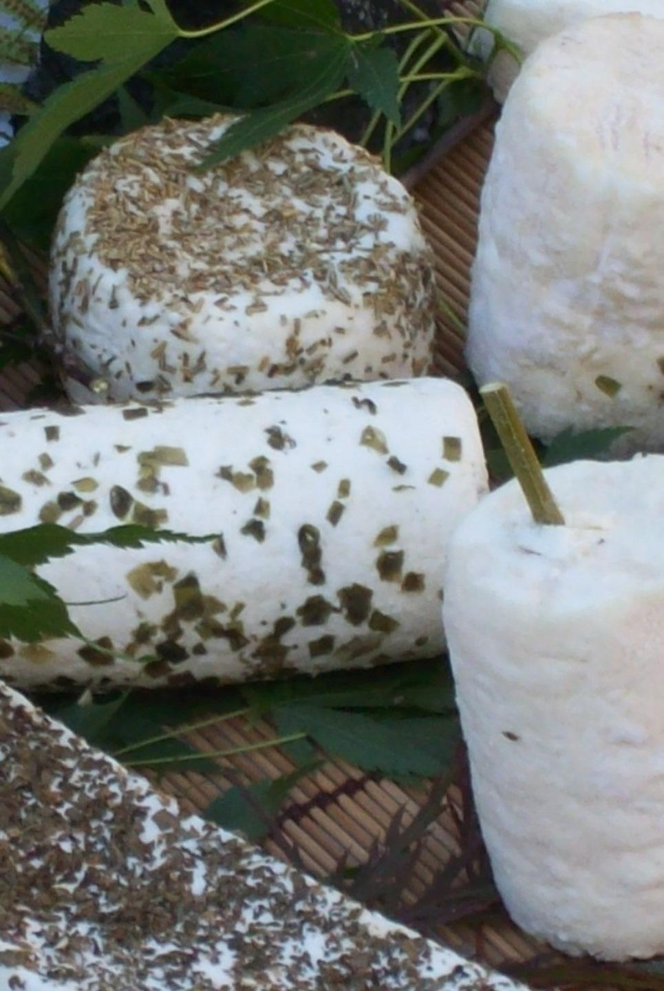 Freschi e aromatizzati, boom dei caprini sardi 