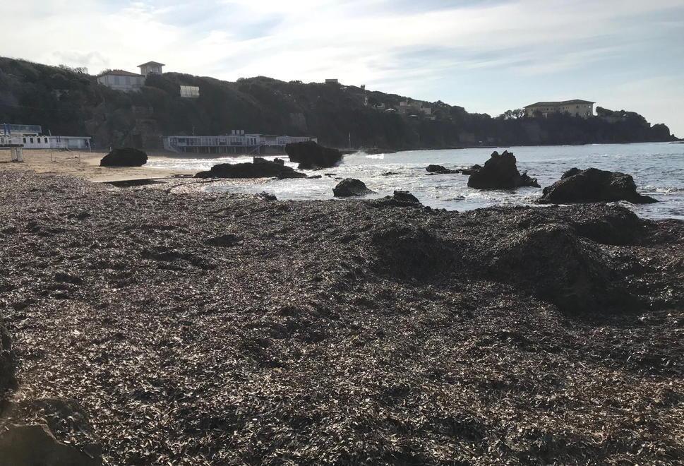 Addio alla spiaggia del Quercetano, sparita tra sassi e alghe 