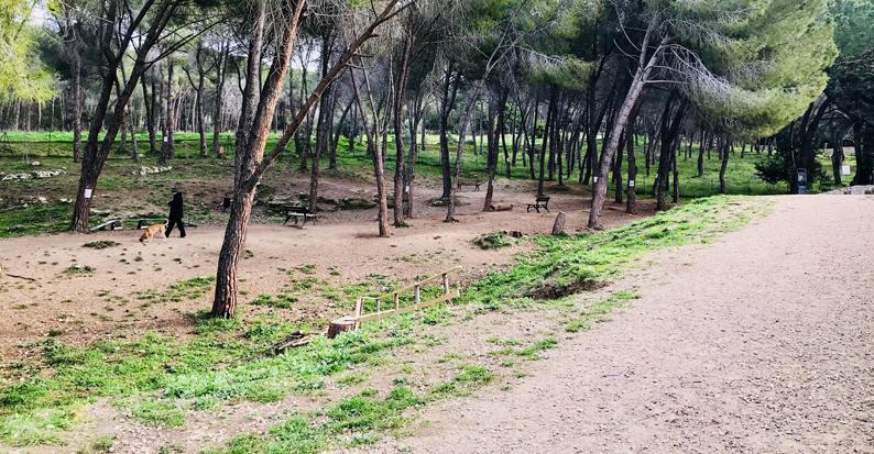 Vandali nell’oasi canina del parco di Baddimanna