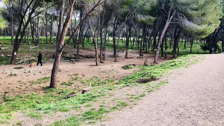 Vandali nell’oasi canina del parco di Baddimanna