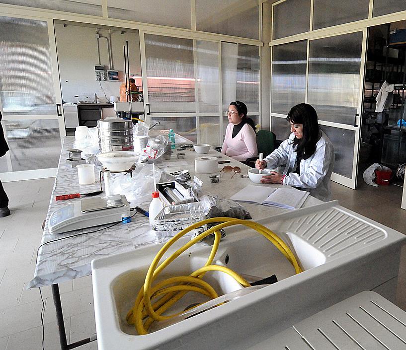 IL CASO - Due tartarughe in ostaggio nel mare della burocrazia 