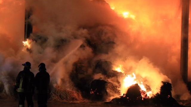 Pompieri all'opera nello spegnimento delle fiamme (foto Sproviero-Batavia)