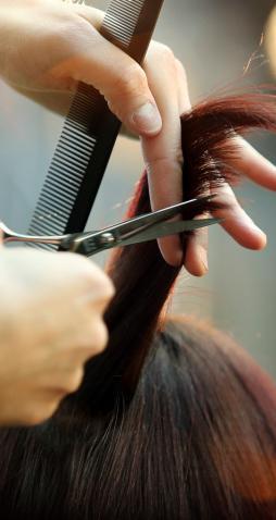 Il principe dei coiffeur nel mirino del Fisco 
