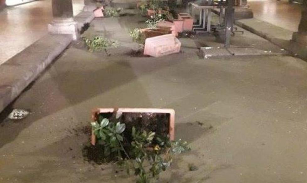 Vasi di fiori gettati in mezzo alla strada
