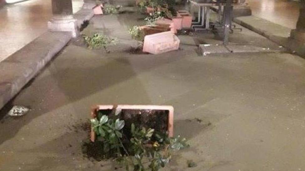 Vasi di fiori gettati in mezzo alla strada
