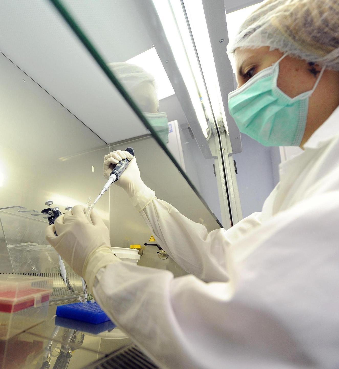 Dna ogliastrino, sequestro anche a Sassari 