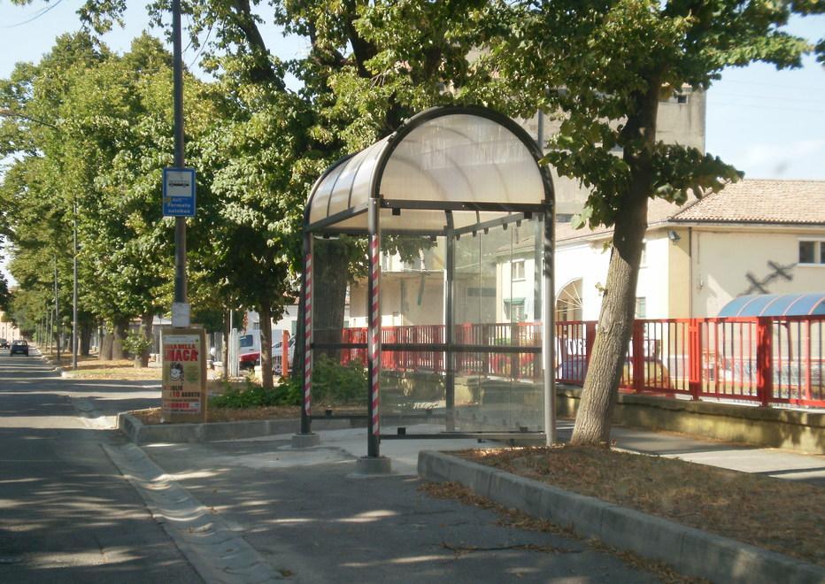 Da viale Pironi hanno preso il via le potature degli alberi