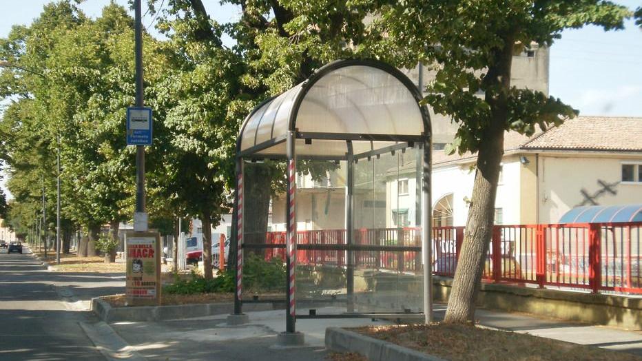 Da viale Pironi hanno preso il via le potature degli alberi
