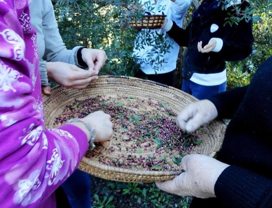 Un giovane sardo nella finale dell'Oscar green