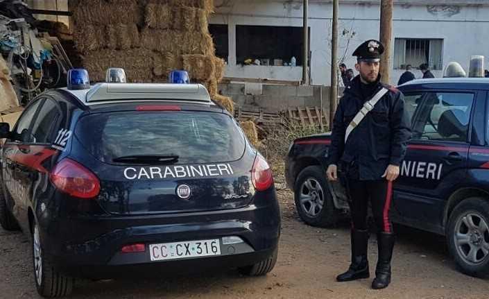 Indagini serrate sulla strage di animali