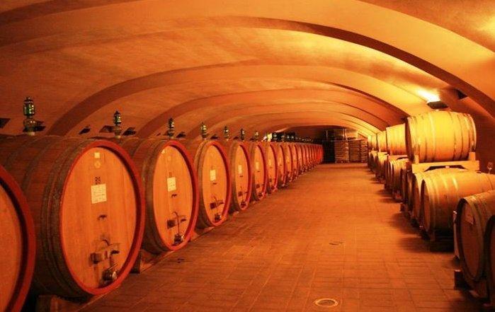 Cantina di Monti: ai soci 3,5 milioni di euro 