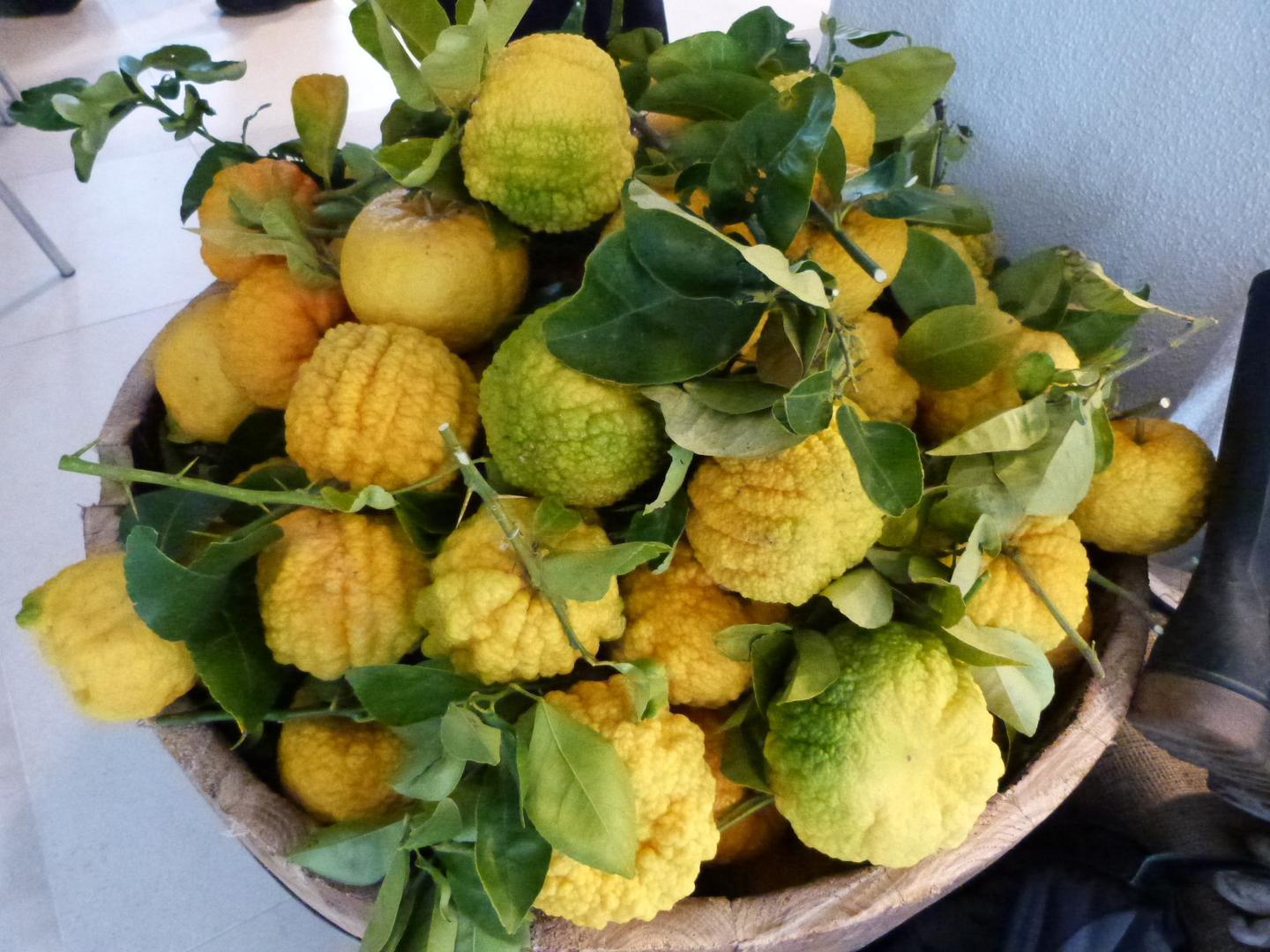 Studenti del Pira in campo a tutela della biodiversità 