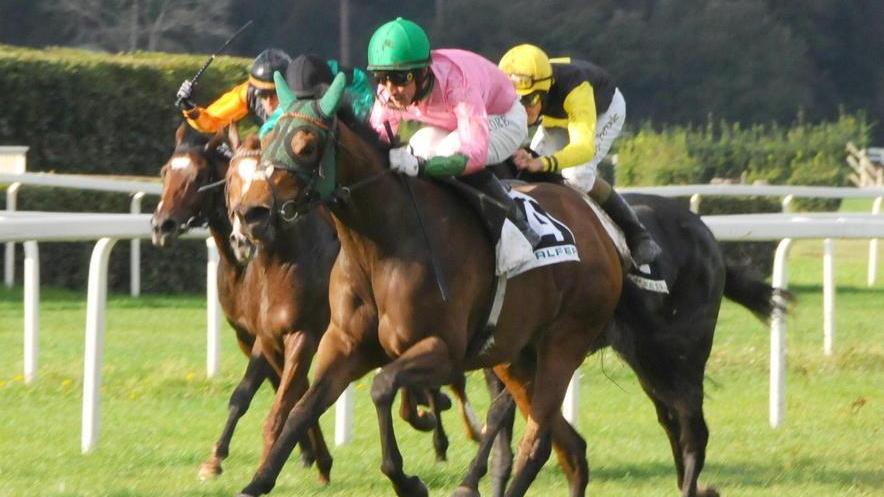 San Rossore, oggi al centro i premi Cavalieri e Verricelli