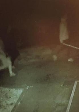 Così i cittadini potranno difendersi dai furti in casa 