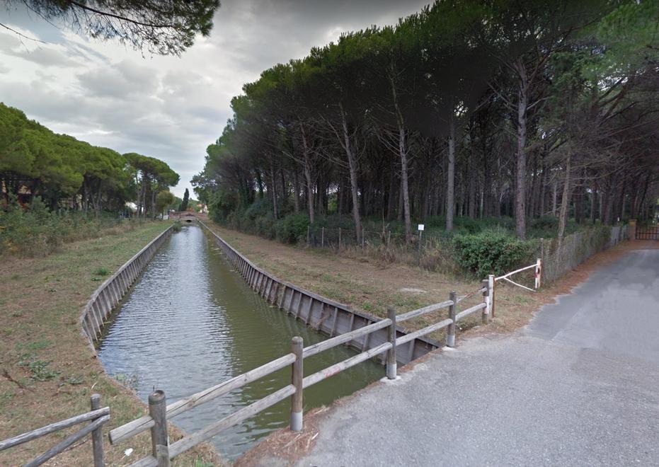 Taglio di pini e rami pericolanti all’interno dei tomboli