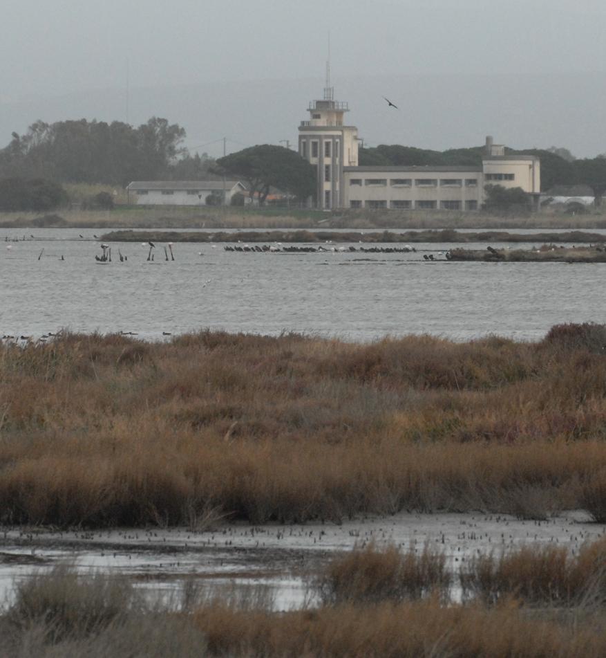 Eventi e dibattiti sulle zone umide 