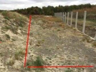 Plastica sulle dune, via allo studio 