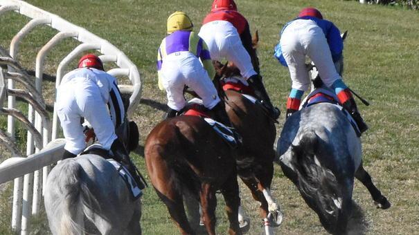 Ripartono le corse al Casalone C’è pure la seconda tris nazionale