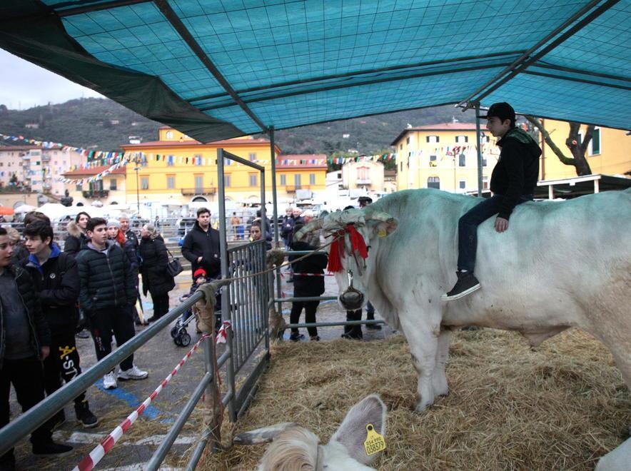La Piccola Atene apparecchia la festa 
