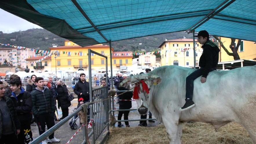 La Piccola Atene apparecchia la festa