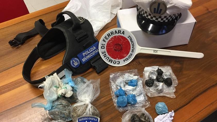 La droga fiutata 19 volte dai cani della Municipale