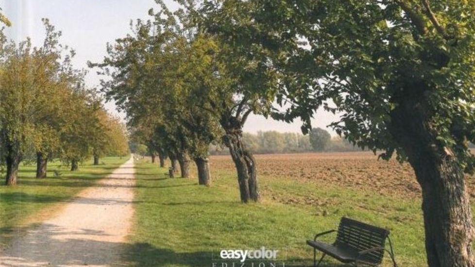 Appuntamenti in breve