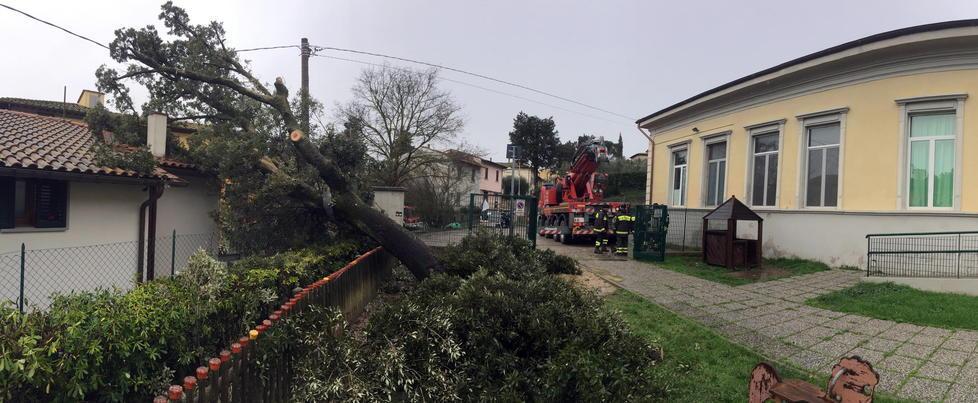 Crolla un albero della scuola e si abbatte sul tetto di una casa 