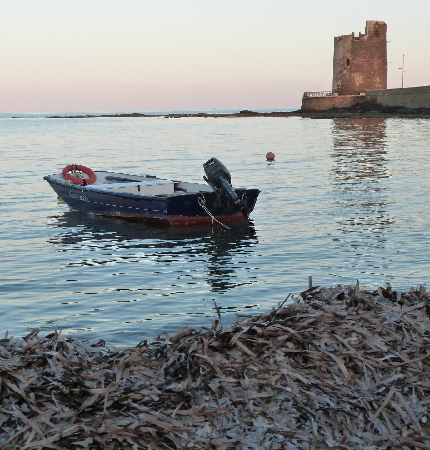 Padros marinos de posidònia una resursa pro s’ecosistema 