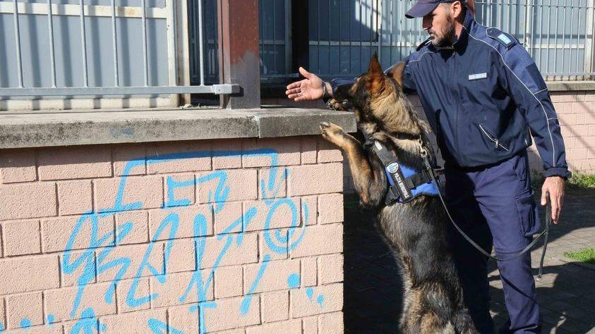 Modena, i presidi di Corni e Cattaneo: «Scuole off limits per le droghe»