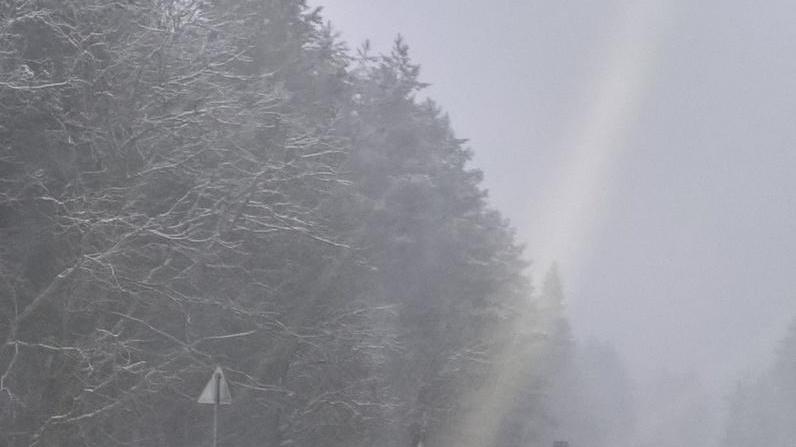 La domenica sotto la neve fa il pienone di turisti