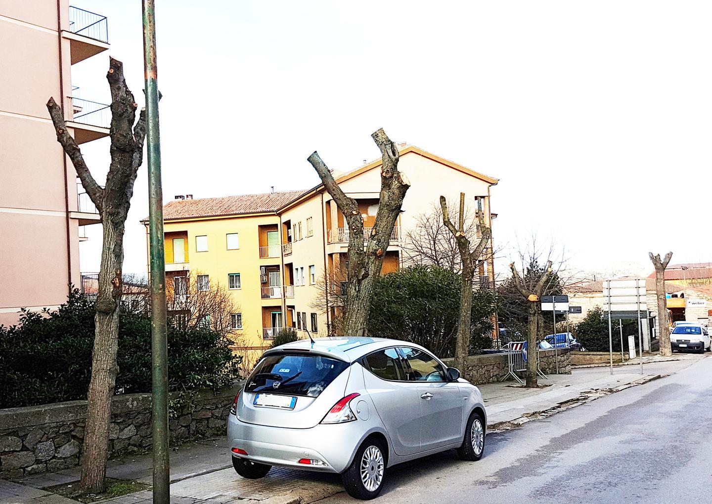 Il verde nel degrado, la dura denuncia di Ripensare Tempio 