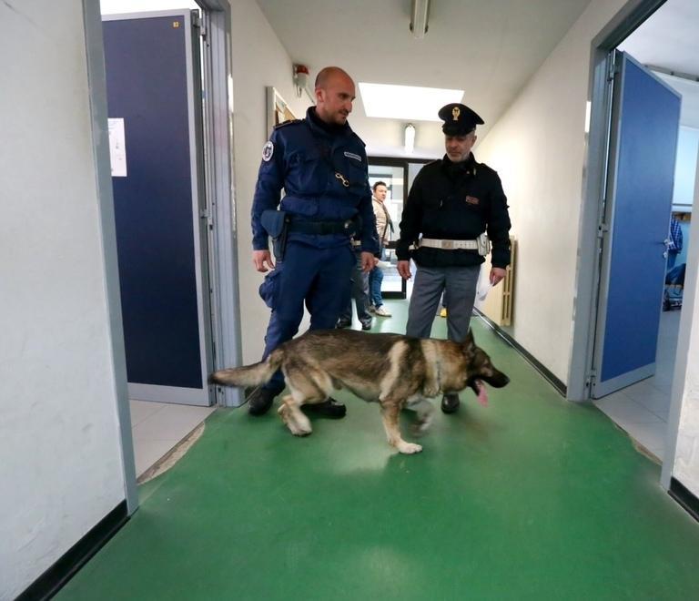 Modena, cannabis nelle scuole ma si fa spazio la cocaina 