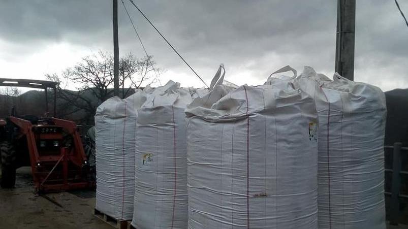 La solidarietà reggiana aiuta i cavalli da pet teraphy