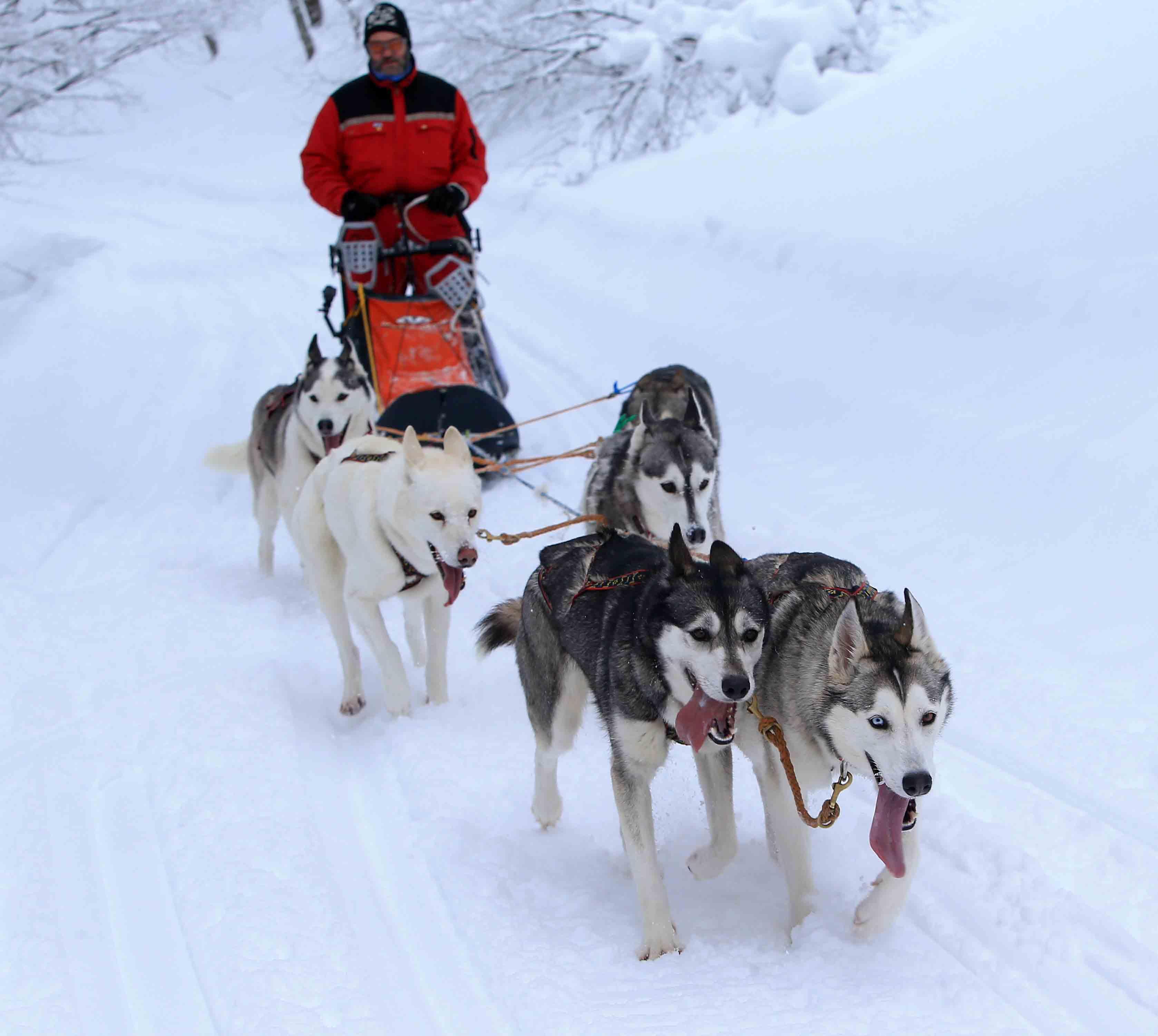 Tanta neve fresca per la seconda tappa della traversata