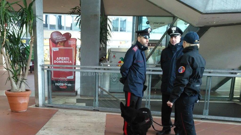 I carabinieri con l'unità cinofila al Parco Prato