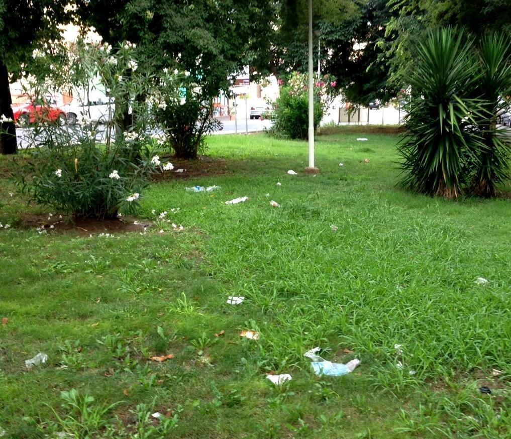 Più sicurezza e decoro se collaborano i volontari 
