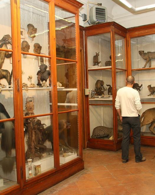 Darwin Day: conferenze e laboratori al Museo di Modena