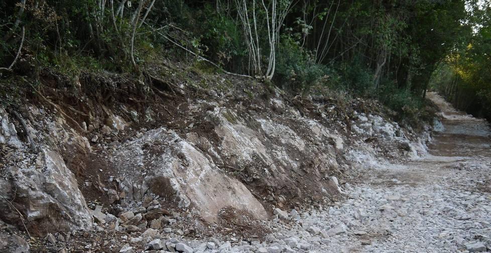 Strada nel bosco non autorizzata 