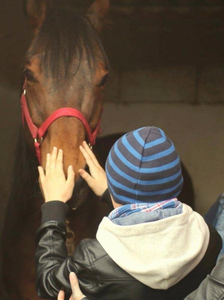 A Ozieri un corso sull’autismo 